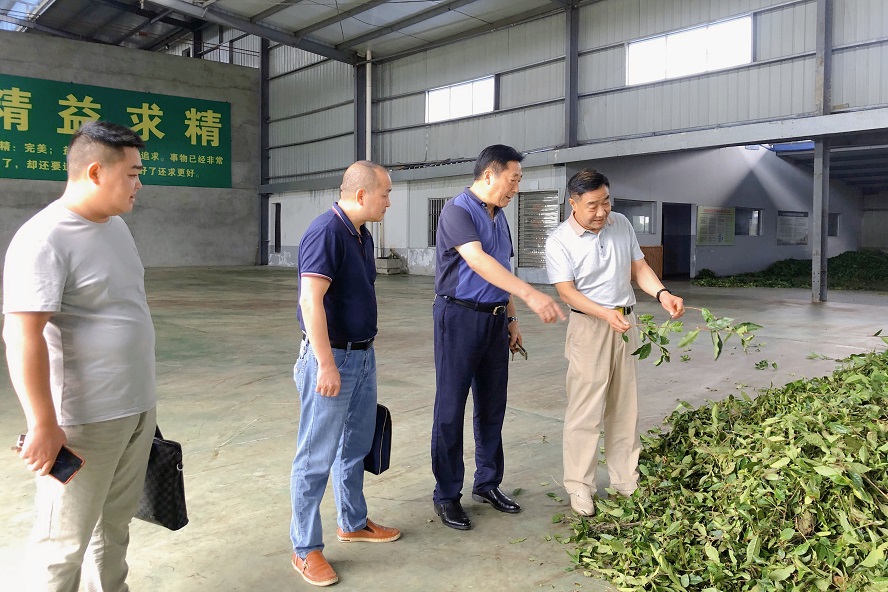 2021_07_08_14_45_IMG_9624.JPG 2021_07_08_14_45_IMG_9624.JPG